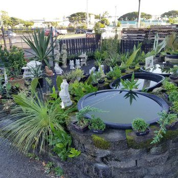 Koolau Farmers - Asian supplies - Home & Garden Near Me - Kaneohe, Hawaii Koolau Farmers - Asian supplies - Home & Garden Near Me - Kaneohe, Hawaii