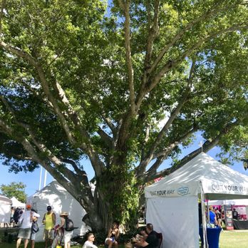 Frost Park - So many big, beautiful, shady trees! - Parks Near Me - Dania Beach, Florida