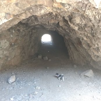 Bronson Canyon-Griffith Park - Some dogs just need to explore - Parks Near Me - Los Angeles, California