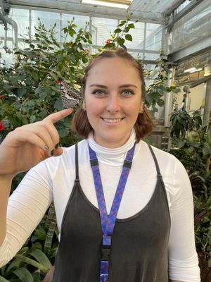 Butterfly Biosphere by null