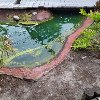 The Track - Ewww again - Mini Golf Near Me - Destin, Florida The Track - Ewww again - Mini Golf Near Me - Destin, Florida