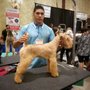 Photo of Del Valle Pet Grooming