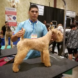 Del Valle Pet Grooming - Hand stripping