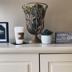 Sandy Paws Buzz & Brew - Display
