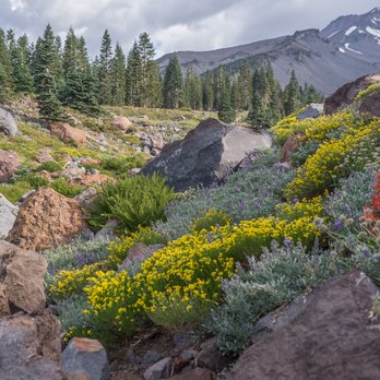Robin Kohn, Mt. Shasta Fun Guide - One of my favorite places on Mt. Shasta! - Tours Near Me Robin Kohn, Mt. Shasta Fun Guide - One of my favorite places on Mt. Shasta! - Tours Near Me