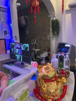 Spring Garden Spa 30 Ann St by null