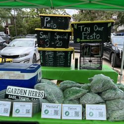 Saint Michael's Farmers Market - Braga Farm's Herbs and Greens! (04/29/23)