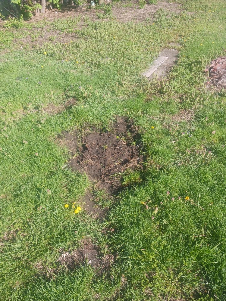 Slide of Miami Valleys Most Wanted Handyman