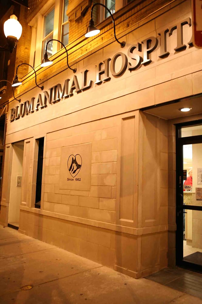 Blum Animal Hospital 16 Photos & 331 Reviews Veterinarians 3219 N