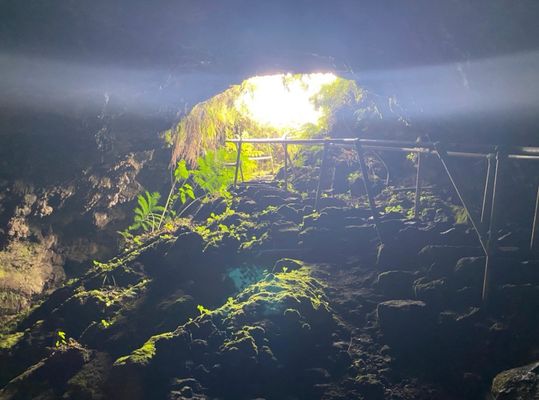 Hana Lava Tube by null