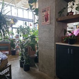 Interior Interior