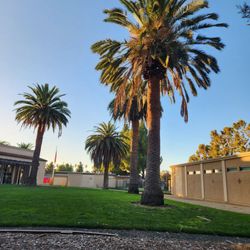 Santa Clara University Library