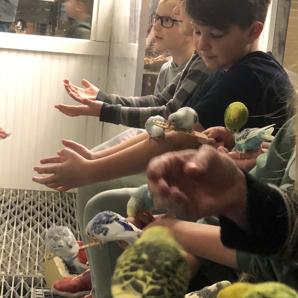 Maplewood Mall - Sustainable safari bird area - Shopping Centers Near Me - Saint Paul, Minnesota