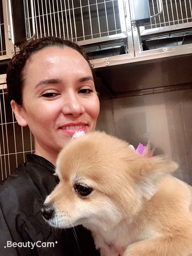 KATY GROOMING 43 Photos & 19 Reviews 1603 N Westgreen Blvd, Katy, TX Yelp