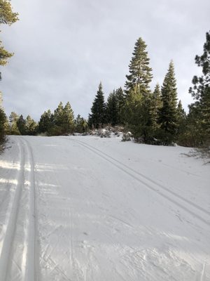 Rim Nordic XC Ski Area & Mountain Bike Park by null