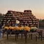 Photo of Hill Ridge Farms