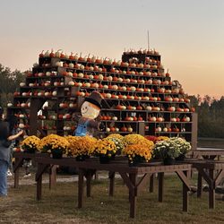 Hill Ridge Farms