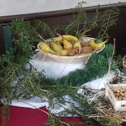 La Corte Trattoria