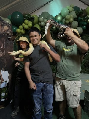 PARAMOUNT REPTILE SHOWS - Updated June 2024 - 125 Photos & 47 Reviews