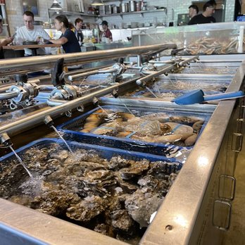 Taylor Shellfish Farms - oysters case - Seafood Near Me - Seattle, Washington Taylor Shellfish Farms - oysters case - Seafood Near Me - Seattle, Washington
