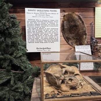 Expedition Bigfoot - Museums Near Me - Blue Ridge, Georgia Expedition Bigfoot - Museums Near Me - Blue Ridge, Georgia