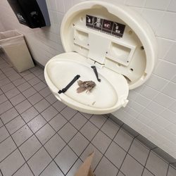 Foodmaxx - The bathroom was disgusting and torn up in every detail