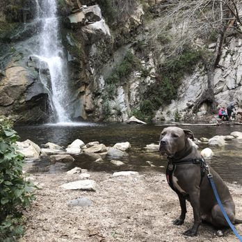 Sturtevant Falls - Hiking Near Me Sturtevant Falls - Hiking Near Me