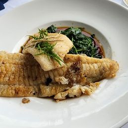 Flounder