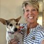 Photo of Animal Hospital of Havasu