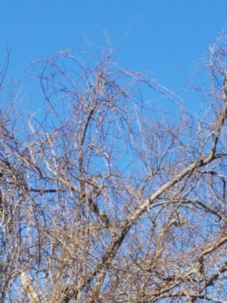 COLONIAL NATIONAL HISTORICAL PARK VISITOR CENTER 11 Photos 1000