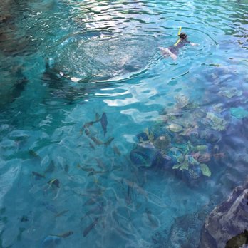 Discovery Cove - Amusement Parks Near Me - Orlando, Florida