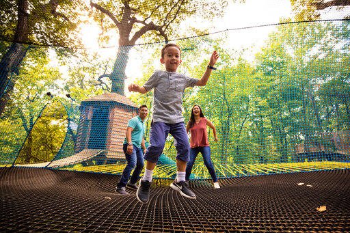 Lied Lodge at Arbor Day Farm by null