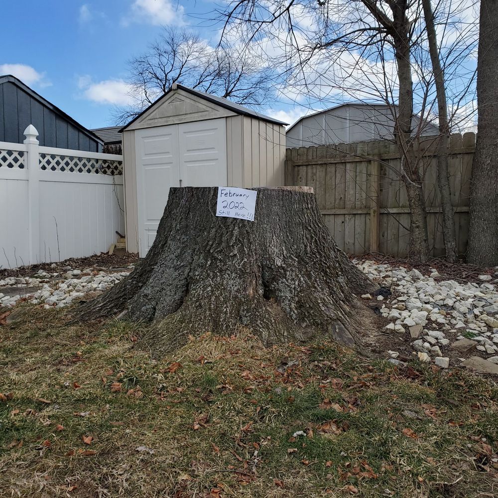 Vision Solar - This is what's left still sitting here. This was taken in January of 2022 and it's now May of 2022. This started in the fall of 2020! - Solar Installation Near Me - Blackwood, New Jersey