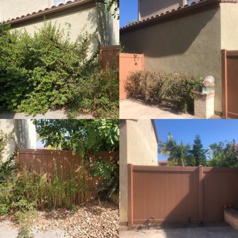 Personalized Tree Service - Bush cut, Leaves removed, Weeds pulled. - Tree Services Near Me Personalized Tree Service - Bush cut, Leaves removed, Weeds pulled. - Tree Services Near Me