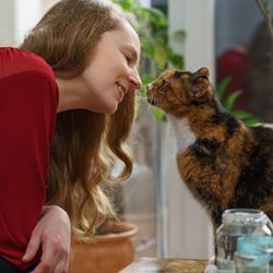 Hauptstadtkatzen - Schnupperstunde mit Hauptstadtkatze Milla