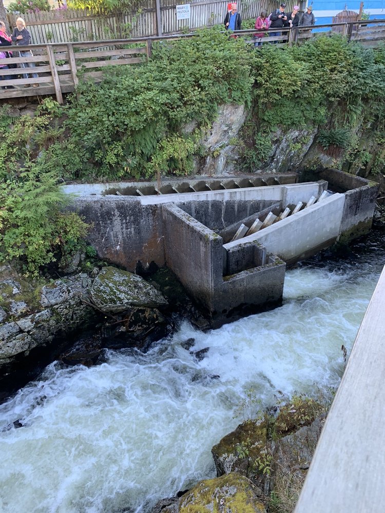 SALMON LADDER VISTA 13 Photos 661 Park Ave, Ketchikan, AK Yelp