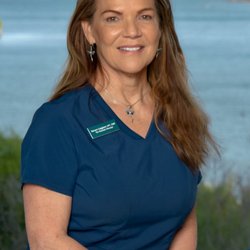 Watsu Bliss and Bodywork Massage - Tamara LMT, CWP