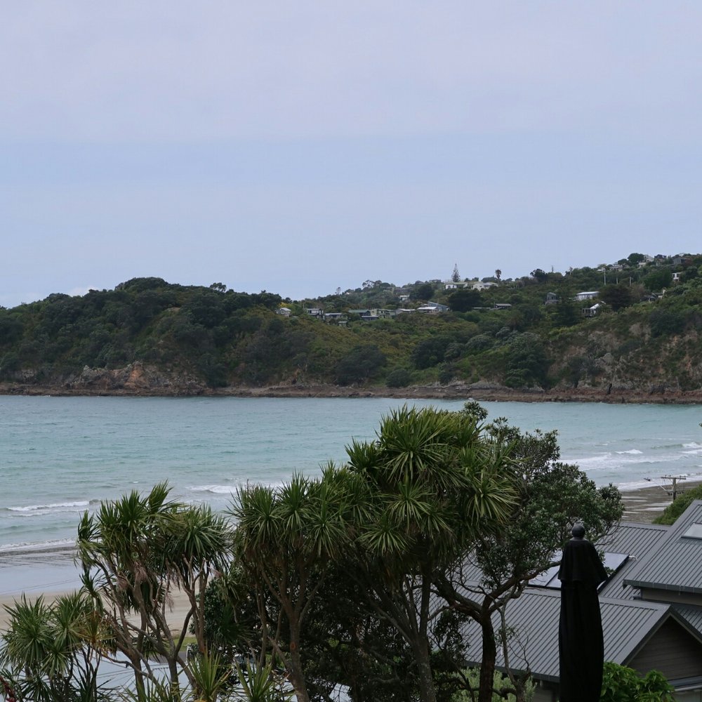 The Local - Fish & Chips Near Me - Auckland, AUK