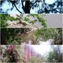 Photo of Lane Cove National Park