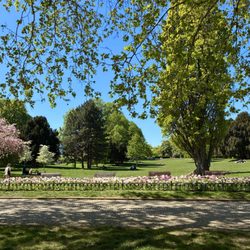 Park Letná - May flowers