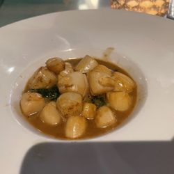 Local 463 Urban Kitchen - Appetizer Scallop Special