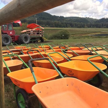 Bob's Corn & Pumpkin Farm - Pumpkin Patches Near Me - Snohomish, Washington