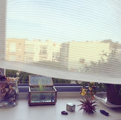 Slow Poke Acupuncture by null