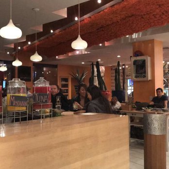 Oyamel - Mexican Near Me - Washington, DC, District of Columbia