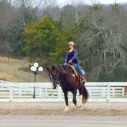 Crossroads Ranch - Riding lessons available