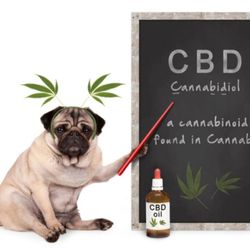 CannaBama: West Mobile