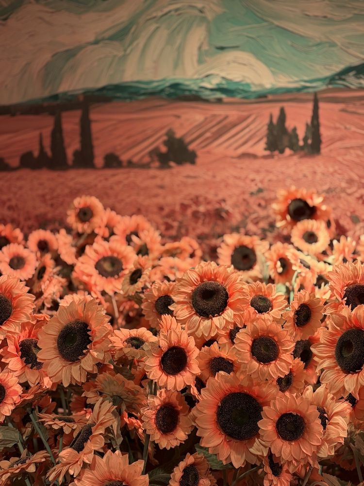 Van Gogh - wedding in Tampa, FL