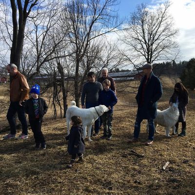 Kinderhook Farm by null