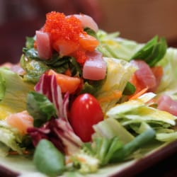 Bento Ramen - Sashimi Salad