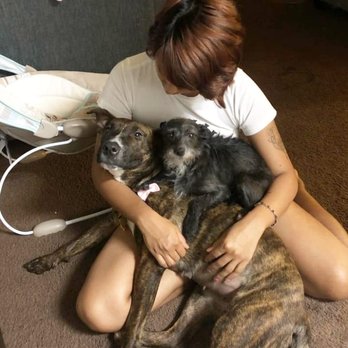 Haven Pet Center - Animal Shelters Near Me - San Jacinto, California Haven Pet Center - Animal Shelters Near Me - San Jacinto, California